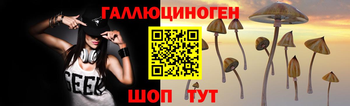 Галлюциногенные грибы Cubensis Сегежа